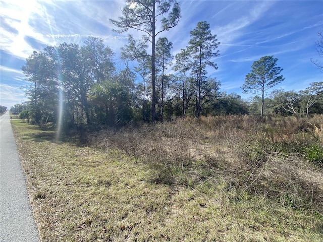 Listing photo 3 for TBD SW Hyacinth Ct, Dunnellon FL 34431