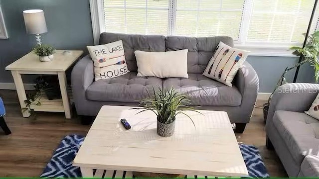 living room with wood-type flooring