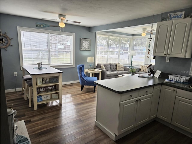 kitchen with dark hardwood / wood-style flooring and kitchen peninsula