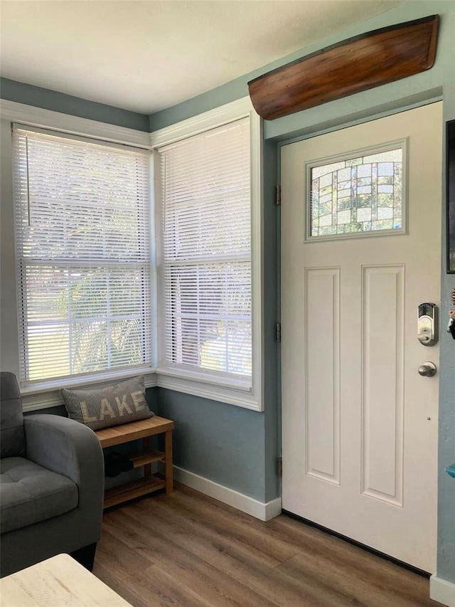 entrance foyer with a wealth of natural light and hardwood / wood-style floors