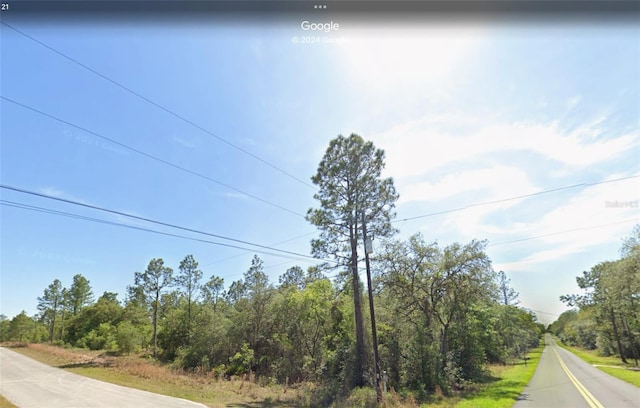 Listing photo 2 for 0 Viola Ct, Dunnellon FL 34431