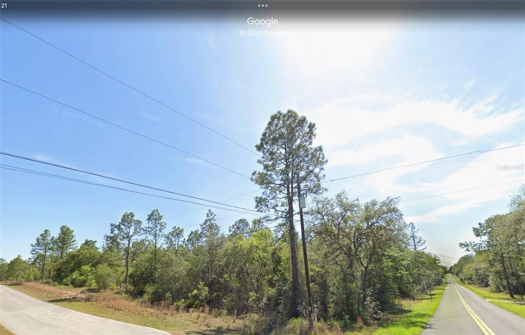 0 Viola Ct, Dunnellon, FL 34431 - photo 2