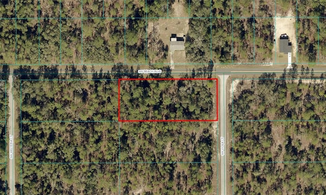 0 Viola Ct, Dunnellon, FL 34431 - photo 4