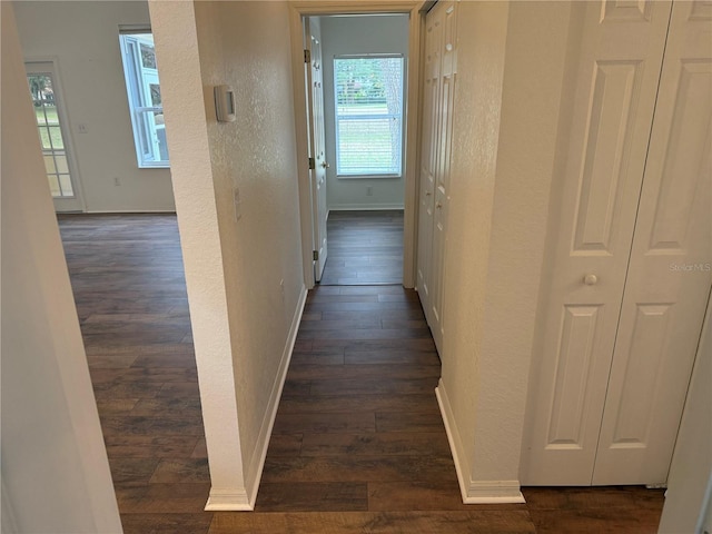 corridor featuring dark hardwood / wood-style flooring