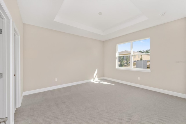 unfurnished bedroom featuring light carpet and a raised ceiling