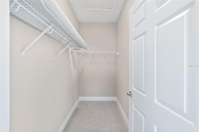 spacious closet featuring carpet