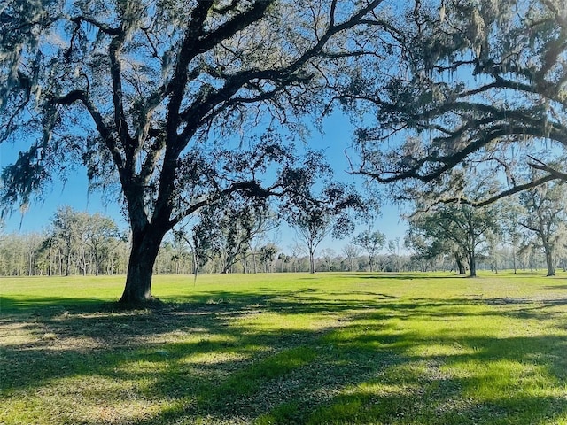 TBD NW 160th St, Reddick FL, 32686 land for sale