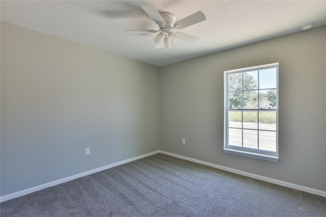 115 Guava Place Dr, Ocklawaha, FL 32179 - photo 21