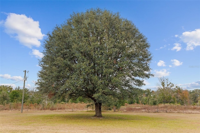 21959 NW 6th St, Dunnellon, FL 34431 - photo 61