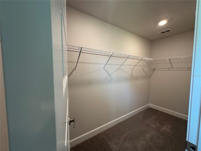 4445 SW 90th Pl, Ocala, FL 34476 - spacious closet with dark carpet