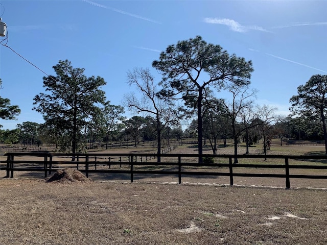 view of yard featuring a rural view