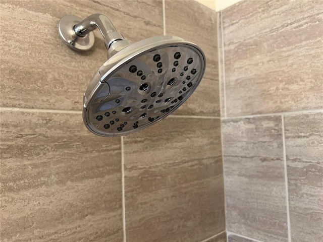 room details featuring walk in shower