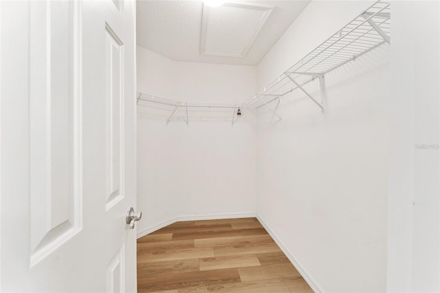 walk in closet featuring hardwood / wood-style flooring