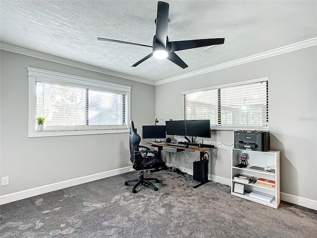 carpeted office space featuring ceiling fan, a textured ceiling, and ornamental molding