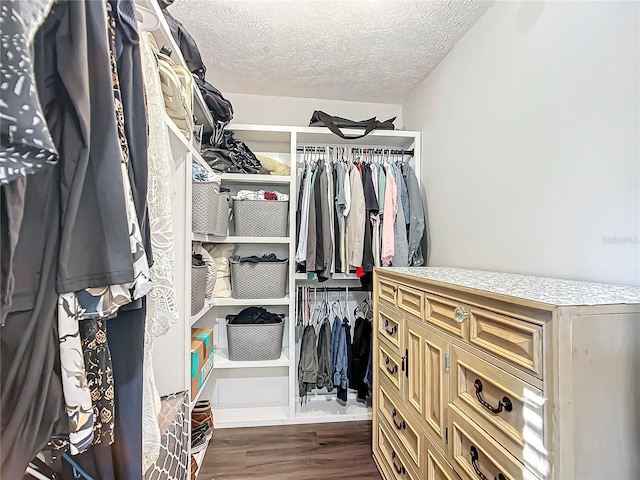 spacious closet featuring dark hardwood / wood-style floors