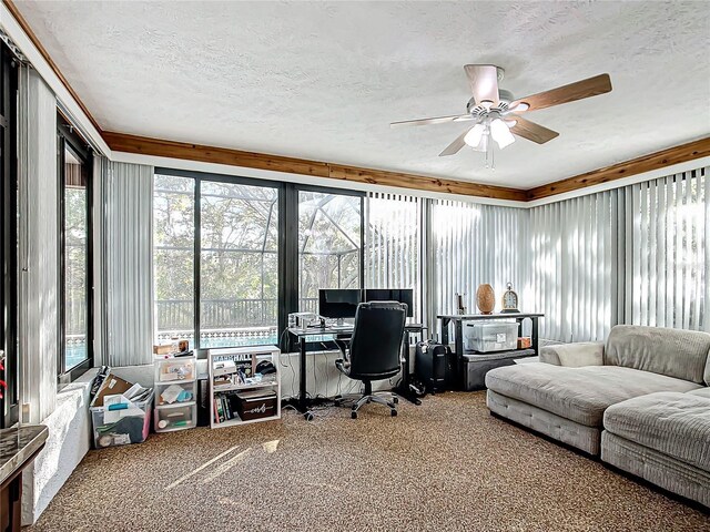 office space featuring carpet flooring, ceiling fan, and a textured ceiling