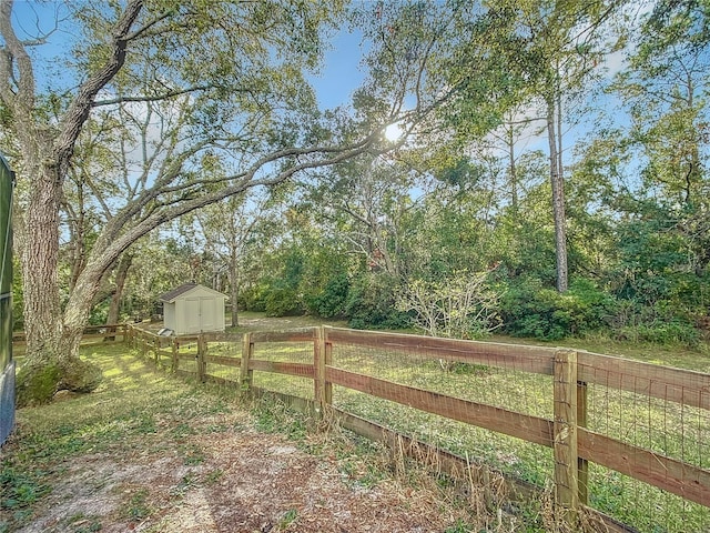 view of yard featuring a shed