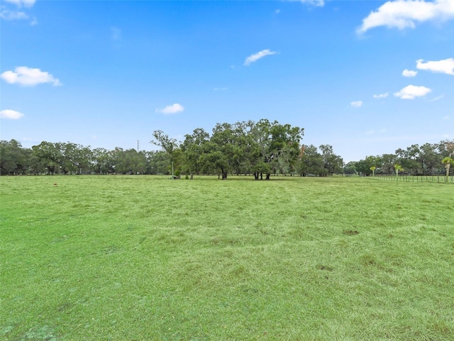 view of yard with a rural view