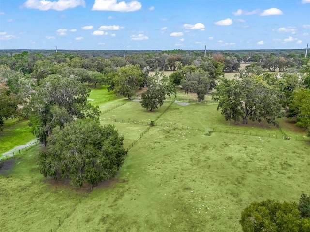 drone / aerial view featuring a rural view