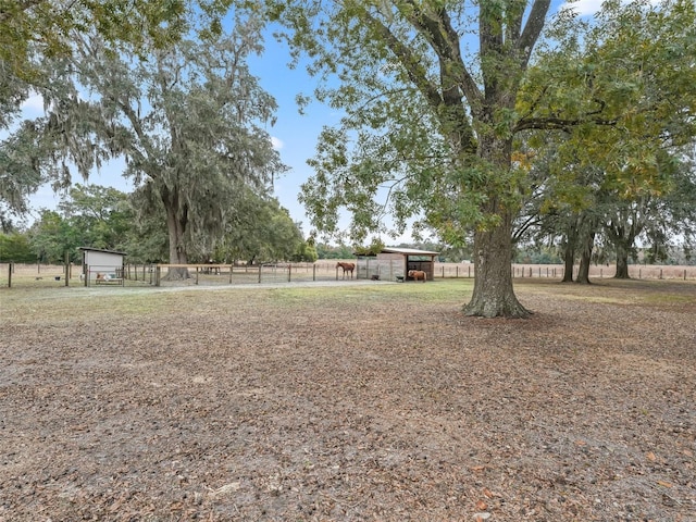 view of yard with a rural view