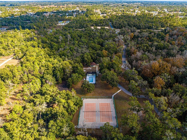 3321 SW 153rd Place Rd, Ocala, FL 34473 - photo 48