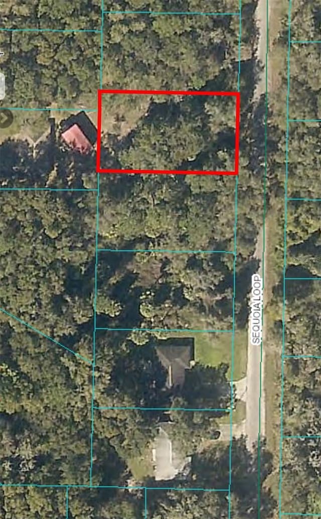 Listing photo 2 for 0 Sequoia Loop, Ocklawaha FL 32179