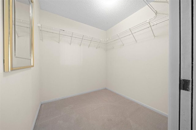 spacious closet featuring carpet