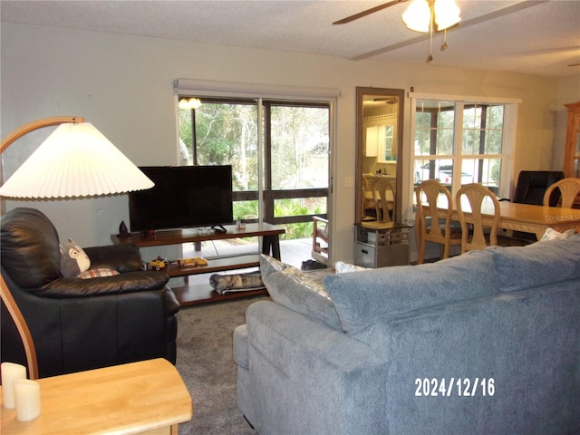 living room featuring ceiling fan, a textured ceiling, and a wealth of natural light