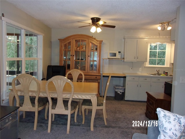 dining room featuring a textured ceiling, dark carpet, ceiling fan, and sink