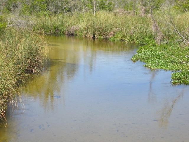 view of water feature