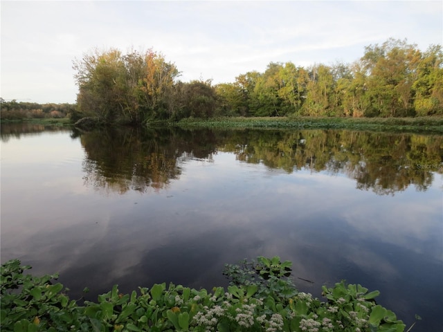 view of water feature