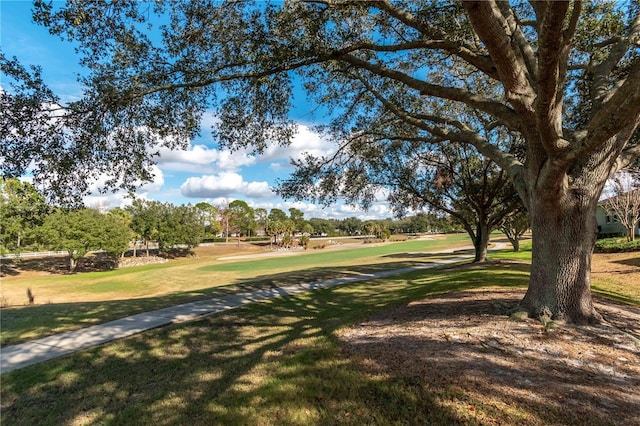 view of home's community featuring a yard