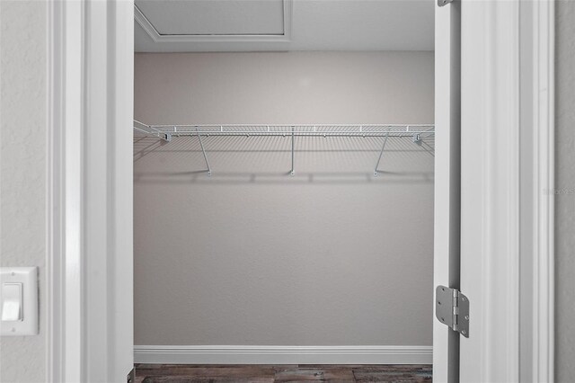 spacious closet with dark wood-type flooring