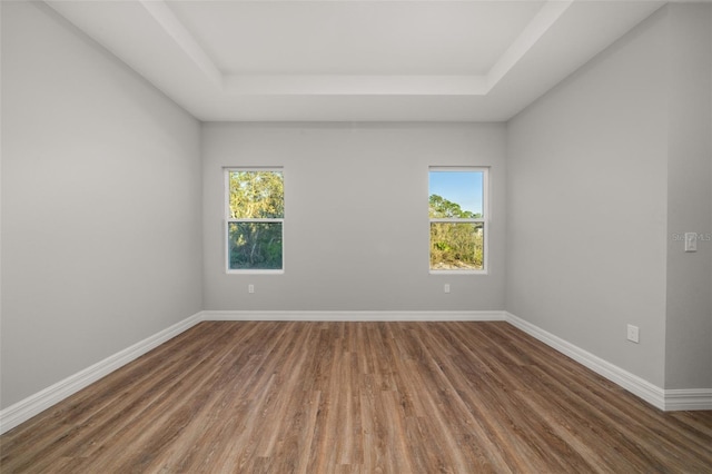 spare room with dark hardwood / wood-style flooring, a tray ceiling, and a wealth of natural light