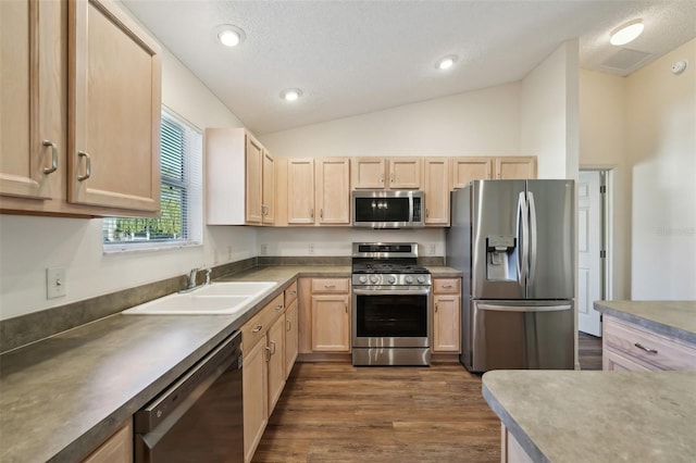 kitchen featuring lofted ceiling, sink, stainless steel appliances, dark wood-type flooring, and a textured ceiling