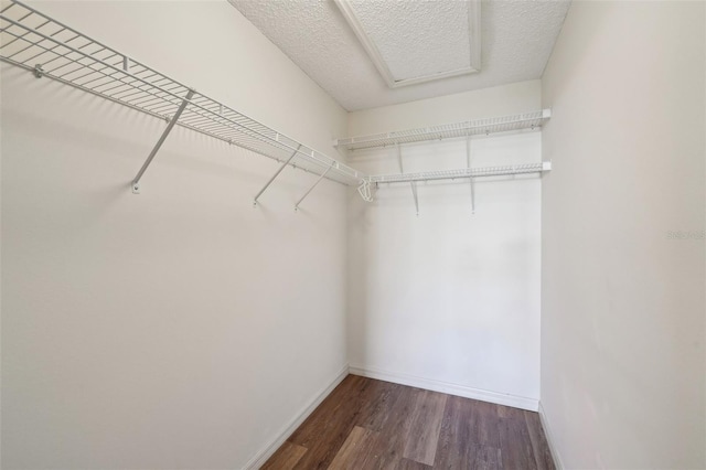 spacious closet featuring dark hardwood / wood-style floors