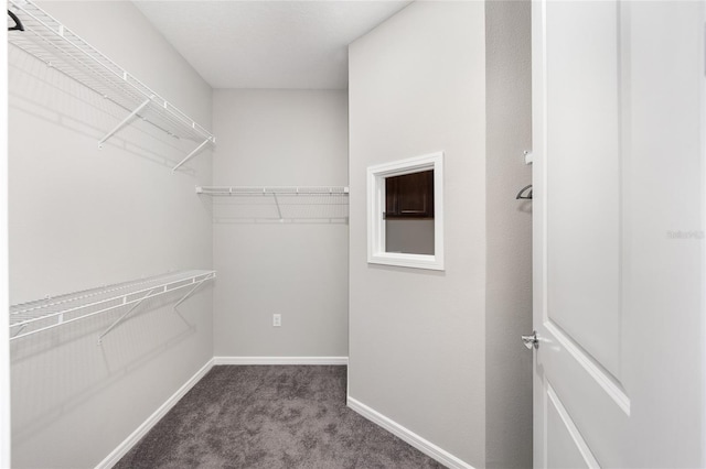 walk in closet with carpet floors