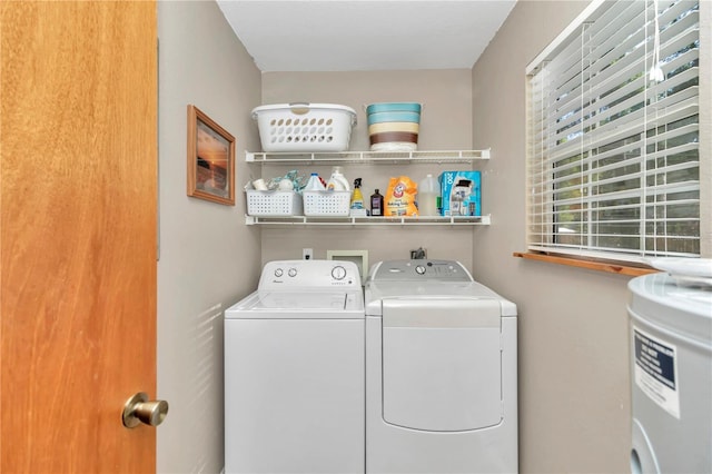 laundry room featuring washing machine and clothes dryer