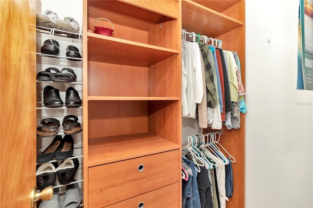 view of spacious closet