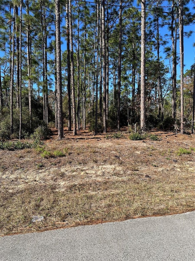 Address Not Disclosed, Dunnellon FL, 34431 land for sale