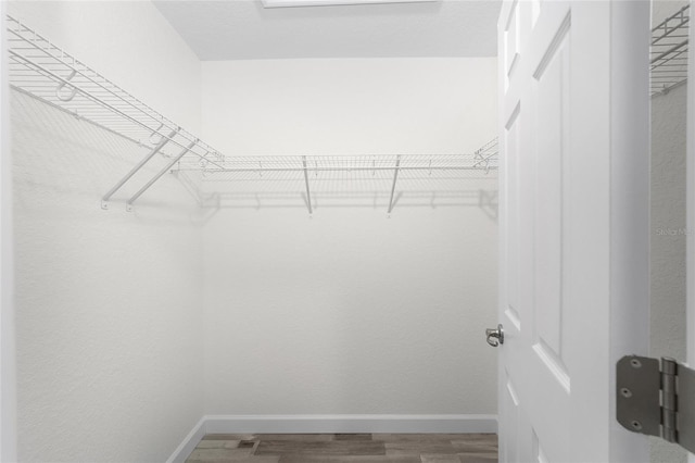 spacious closet featuring hardwood / wood-style flooring