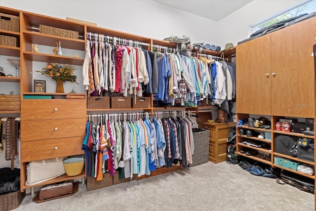 spacious closet featuring carpet