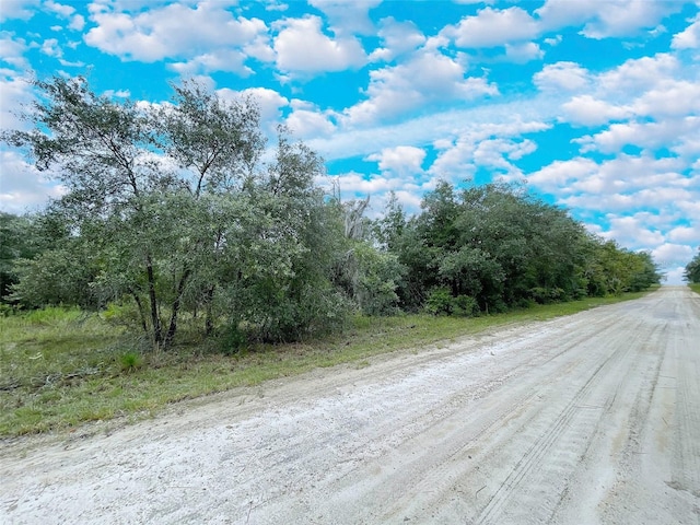 TBD NE 127th Ct, Bronson FL, 32621 land for sale