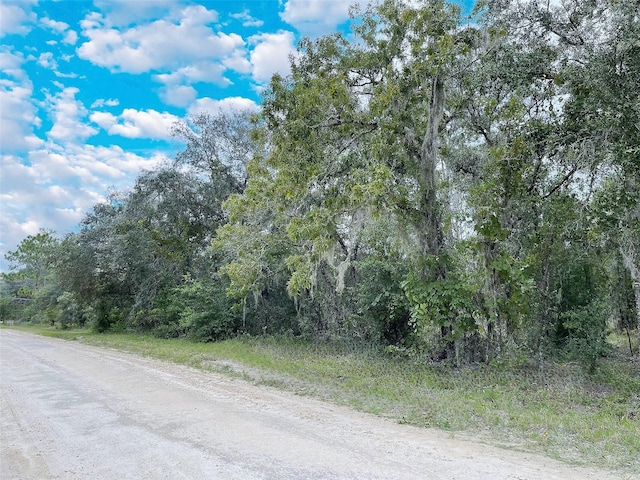 Listing photo 3 for TBD NE 127th Ct, Bronson FL 32621