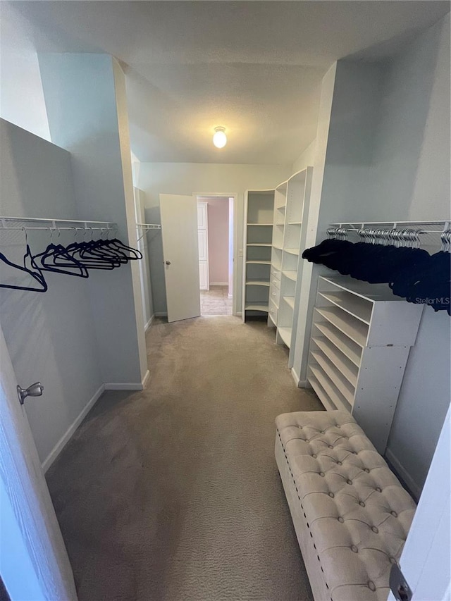 walk in closet featuring carpet flooring