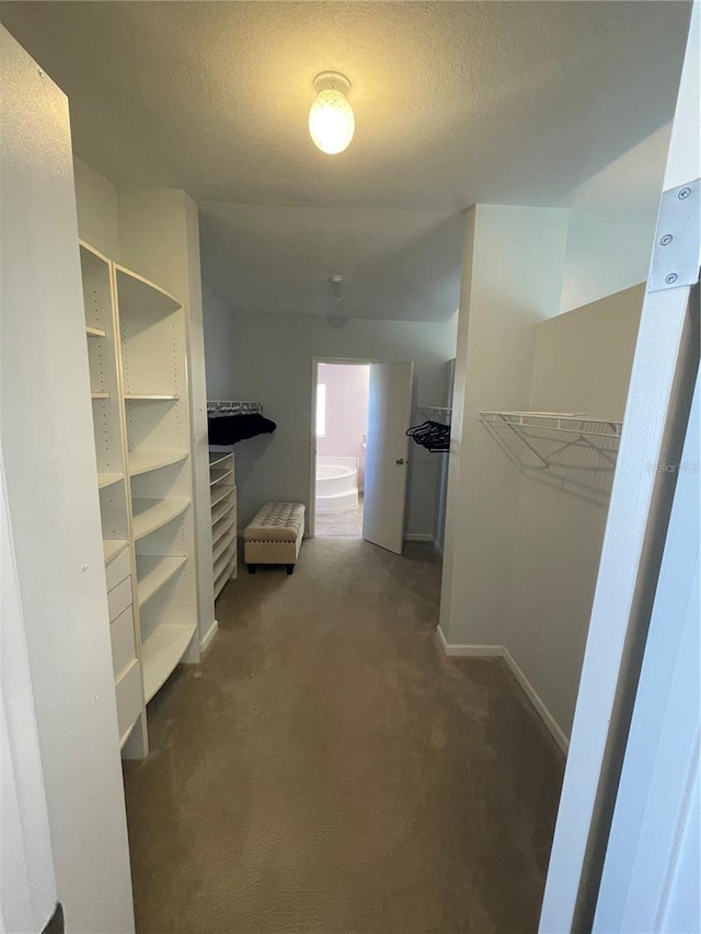 spacious closet featuring dark carpet