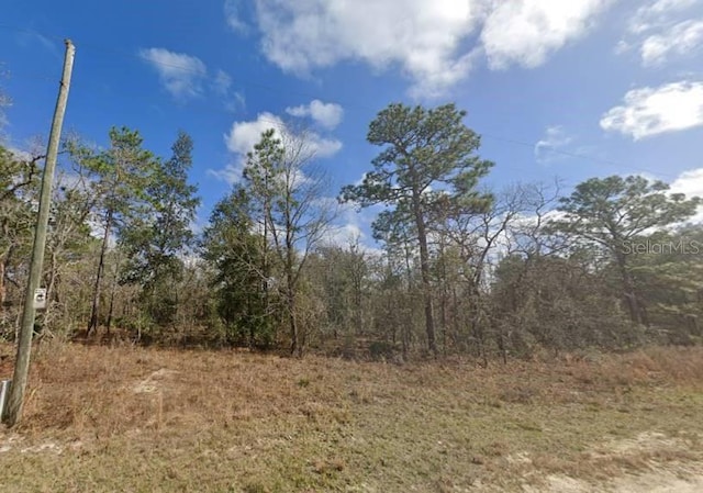 13510 Downy Woodpecker Rd, Weeki Wachee FL, 34614 land for sale