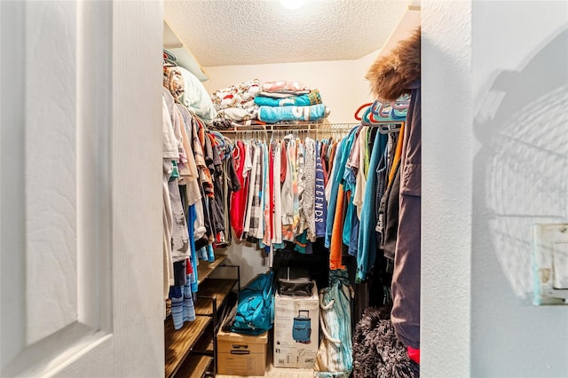 view of walk in closet