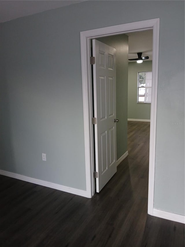 corridor with dark wood-type flooring