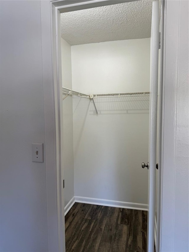 walk in closet featuring dark hardwood / wood-style flooring